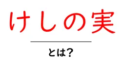 けしの実・とは?初心者にも分かる基本ガイド~けしの実の正体と使い方を詳しく解説共起語・同意語・対義語も併せて解説!