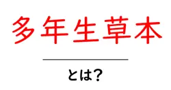 多年生草本とは？庭づくり初心者のための基本と育て方ガイド共起語・同意語・対義語も併せて解説！