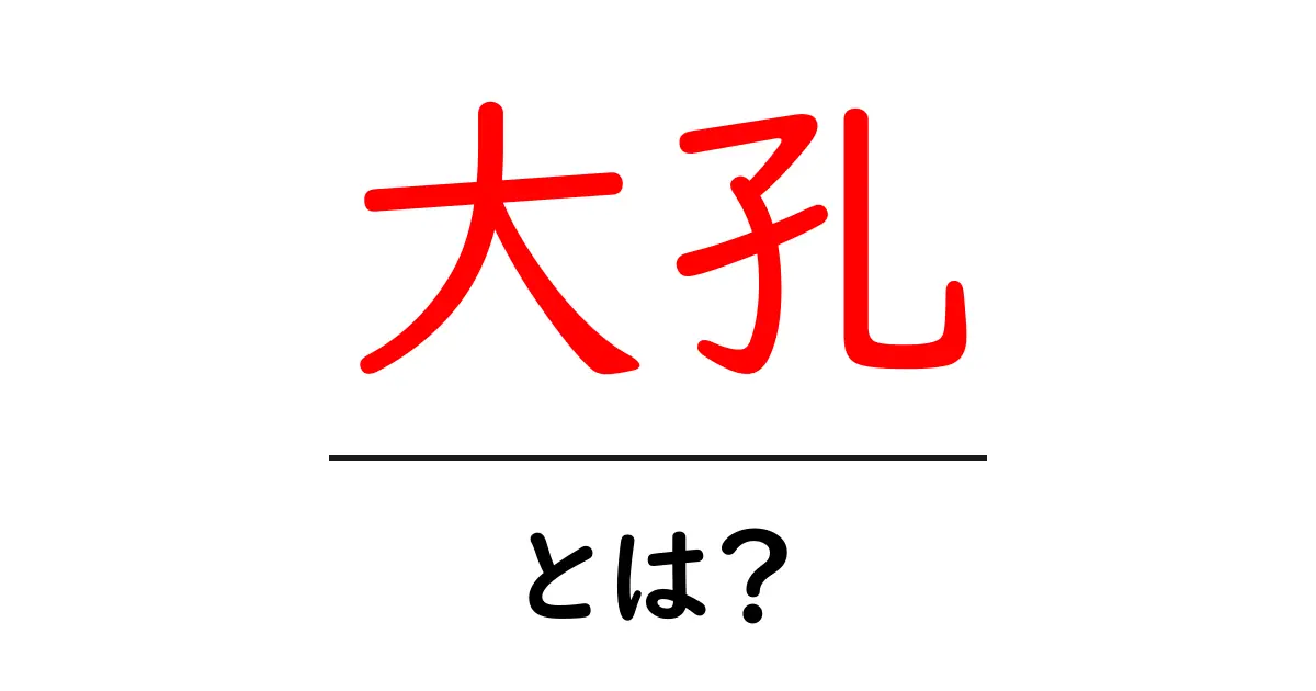 大孔とは？初心者向けに解説する意味と使い方｜大孔の読み方とよくある誤解共起語・同意語・対義語も併せて解説！