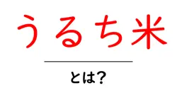 うるち米とは？初心者にも分かる基本と使い方をやさしく解説共起語・同意語・対義語も併せて解説！