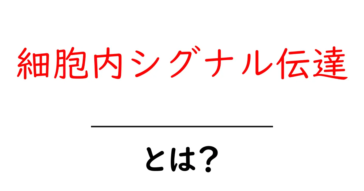 細胞内シグナル伝達・とは？をやさしく解説する入門ガイド共起語・同意語・対義語も併せて解説！