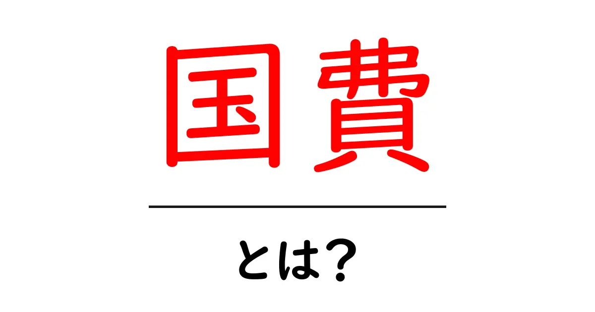 国費・とは？初心者にもわかる公的資金の基本解説共起語・同意語・対義語も併せて解説！