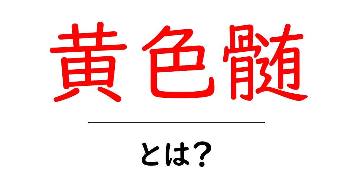 黄色髄とは?人体の秘密をわかりやすく解説共起語・同意語・対義語も併せて解説!