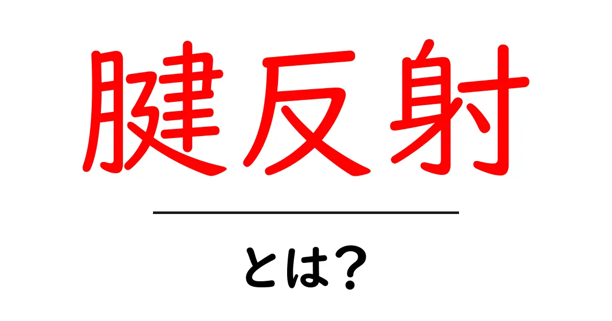 腱反射・とは？初心者向けにわかりやすく解説する基本ガイド共起語・同意語・対義語も併せて解説！