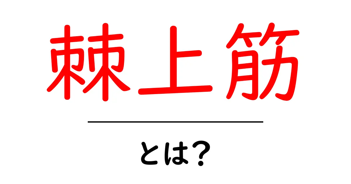 棘上筋とは？初心者向けにやさしく解説する肩の重要な筋肉共起語・同意語・対義語も併せて解説！