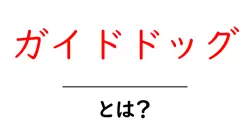 ガイドドッグ・とは？初心者が知っておく基本と役割を徹底解説共起語・同意語・対義語も併せて解説！