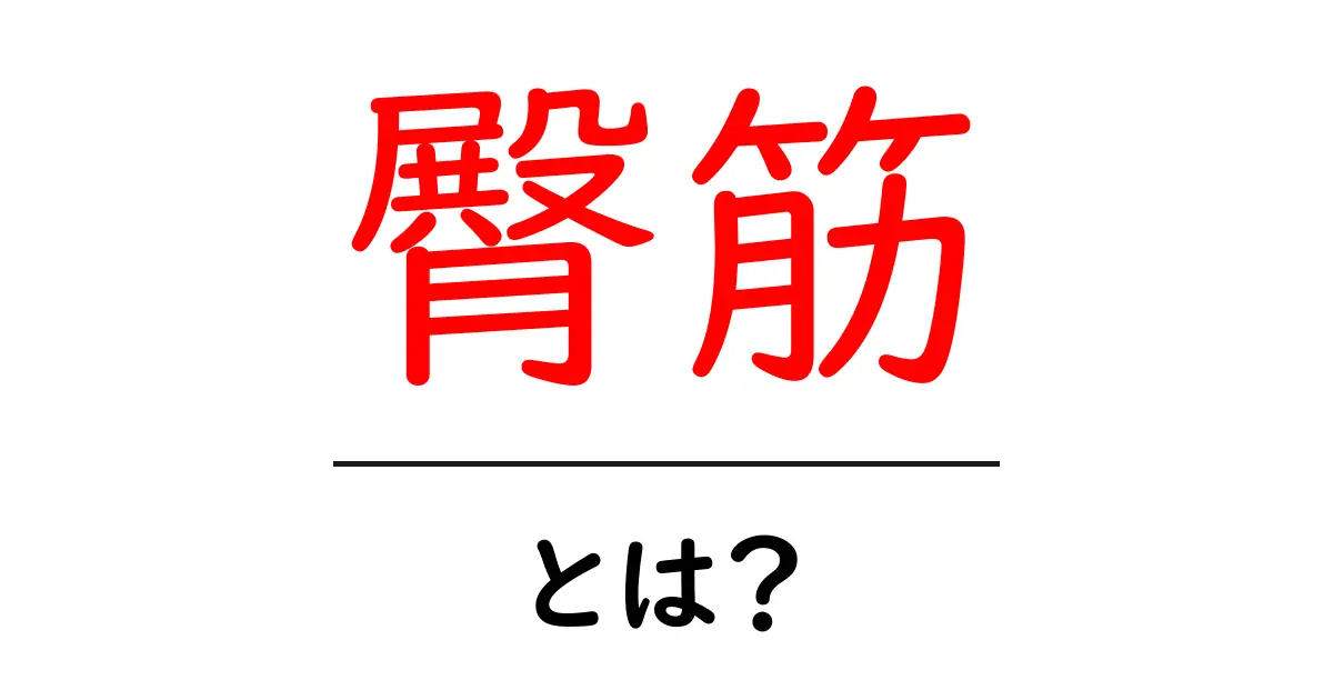 臀筋・とは？初心者にもわかる、臀筋の基礎と鍛え方共起語・同意語・対義語も併せて解説！