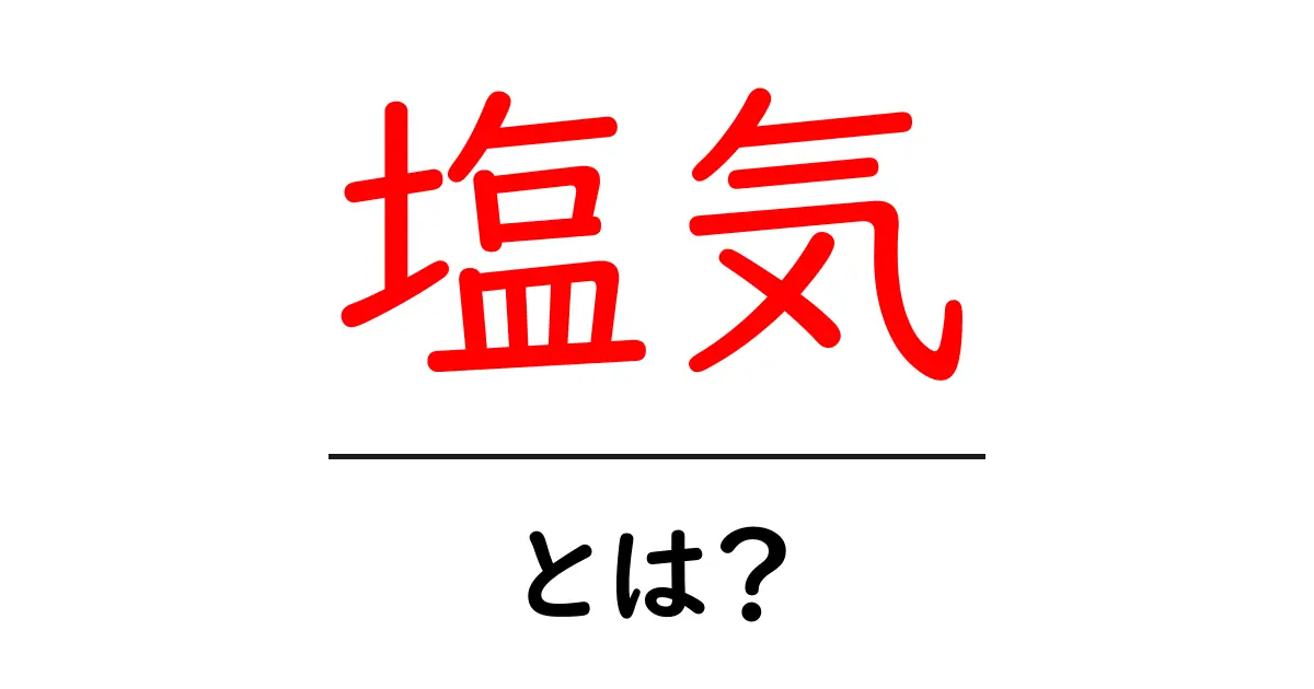 塩気・とは？初心者にもわかる塩気の意味と使い方ガイド共起語・同意語・対義語も併せて解説！