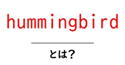 hummingbirdとは?初心者でもわかる基本と驚きの秘密共起語・同意語・対義語も併せて解説!