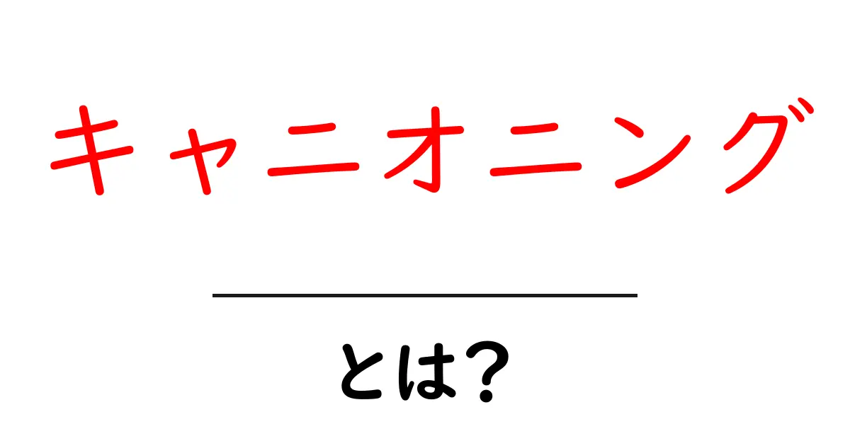 キャニオニング・とは？初心者向けガイドで学ぶ自然と冒険の楽しみ方共起語・同意語・対義語も併せて解説！