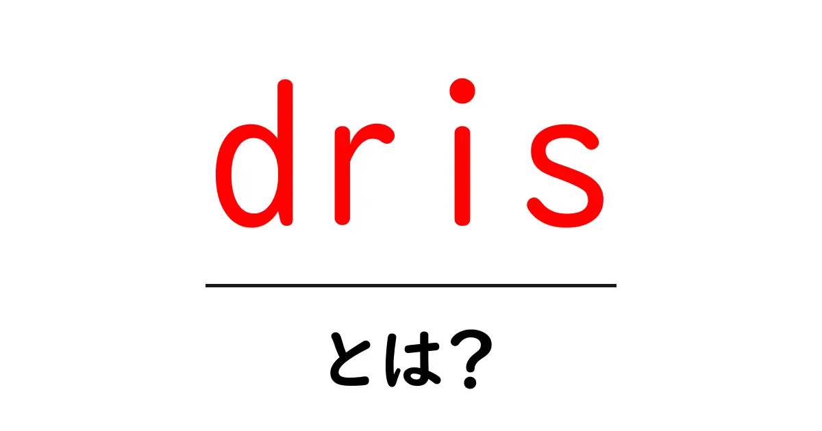 drisとは？初心者でもわかる基本と使い方のポイント共起語・同意語・対義語も併せて解説！
