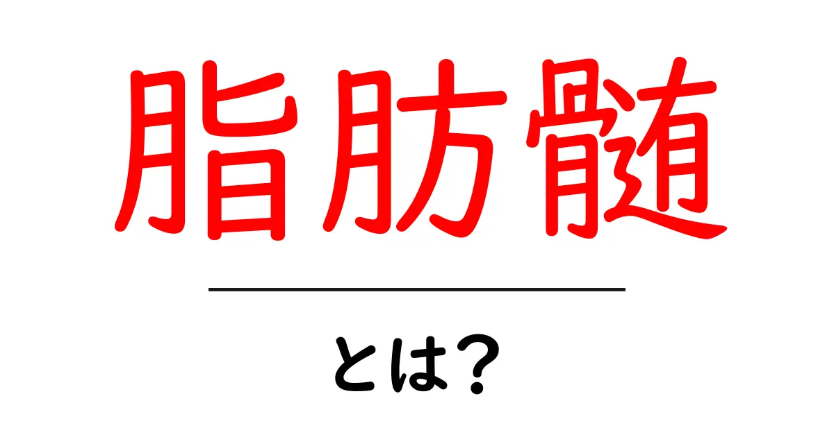 脂肪髄・とは?初心者にも分かる解説:黄色骨髄の役割と健康への影響共起語・同意語・対義語も併せて解説!