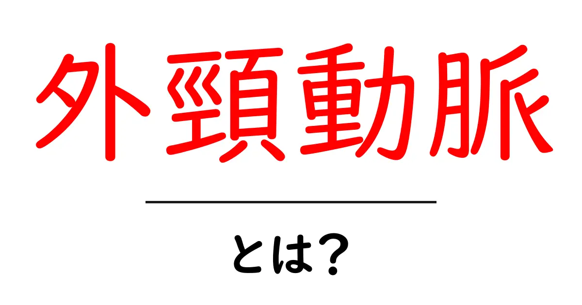 外頸動脈・とは?中学生にもわかるやさしい解説と身近な例共起語・同意語・対義語も併せて解説!