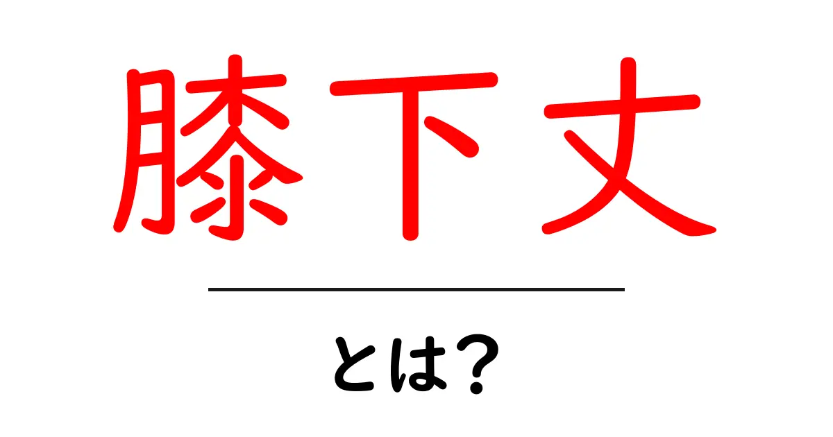 膝下丈・とは?初心者のための基本とコーデのコツ共起語・同意語・対義語も併せて解説!