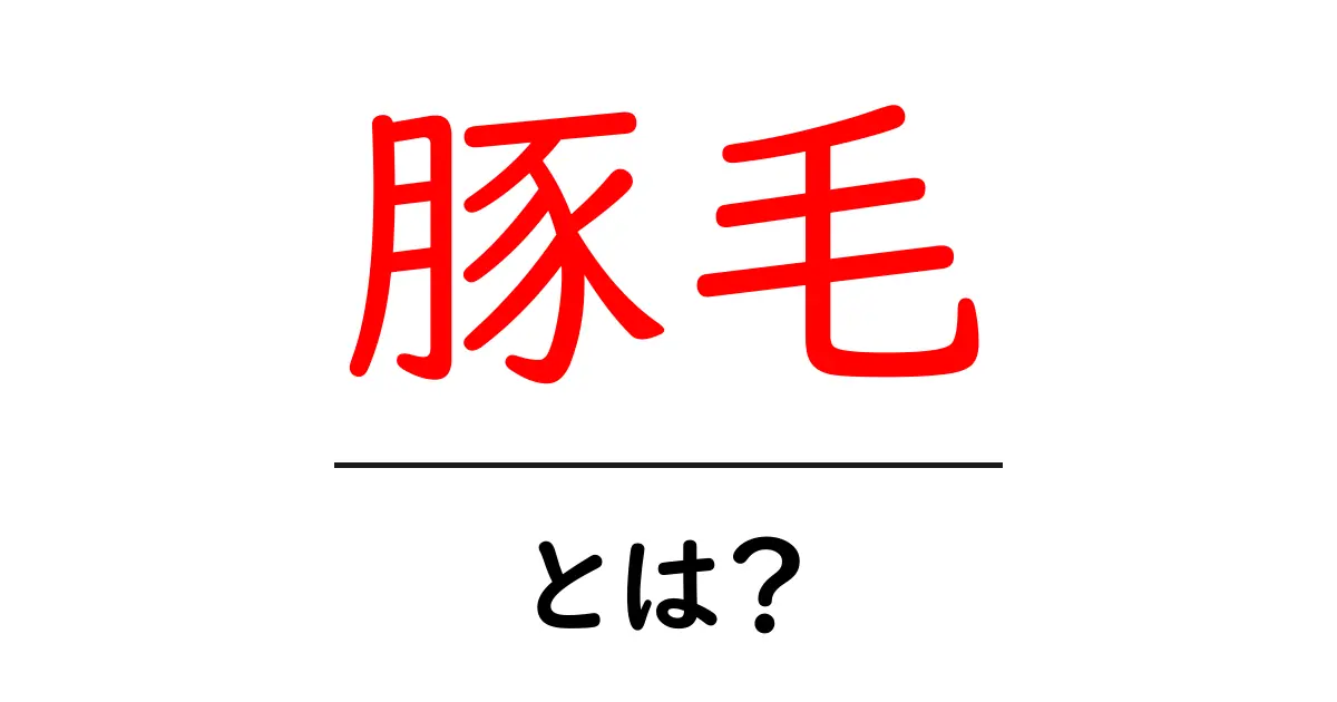 豚毛・とは？初心者が知っておくべき基本と使い方ガイド共起語・同意語・対義語も併せて解説！