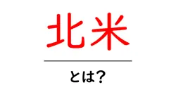 北米とは?初心者にも分かる地理と国の基礎ガイド共起語・同意語・対義語も併せて解説!