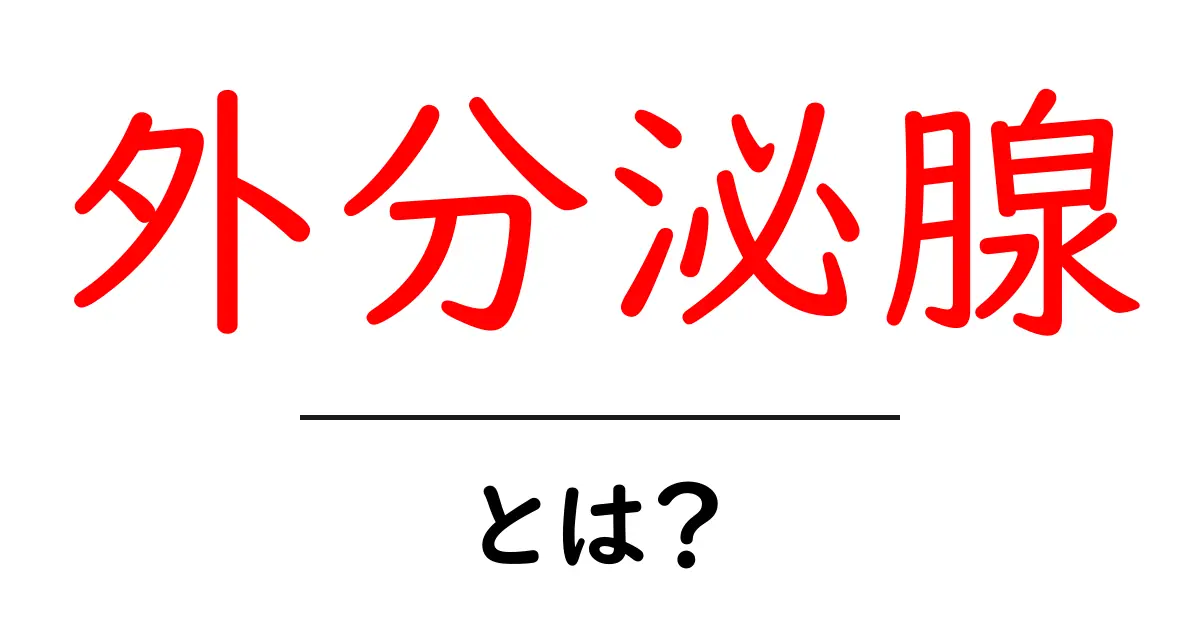 外分泌腺・とは？徹底解説：しくみ・働き・身近な例まで共起語・同意語・対義語も併せて解説！