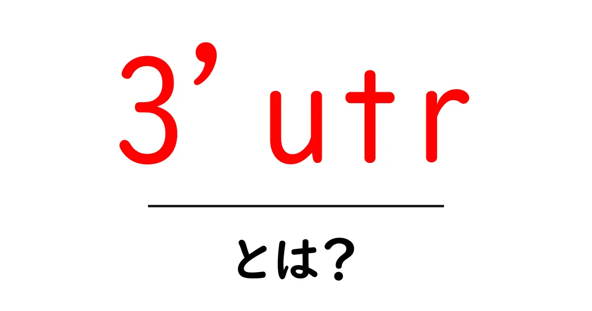 3utr・とは?初心者でも分かる意味と使い方ガイド共起語・同意語・対義語も併せて解説!