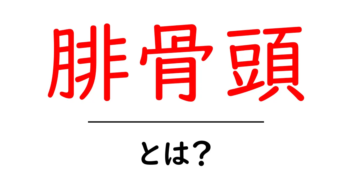 腓骨頭・とは？基礎知識と日常での役割をやさしく解説共起語・同意語・対義語も併せて解説！