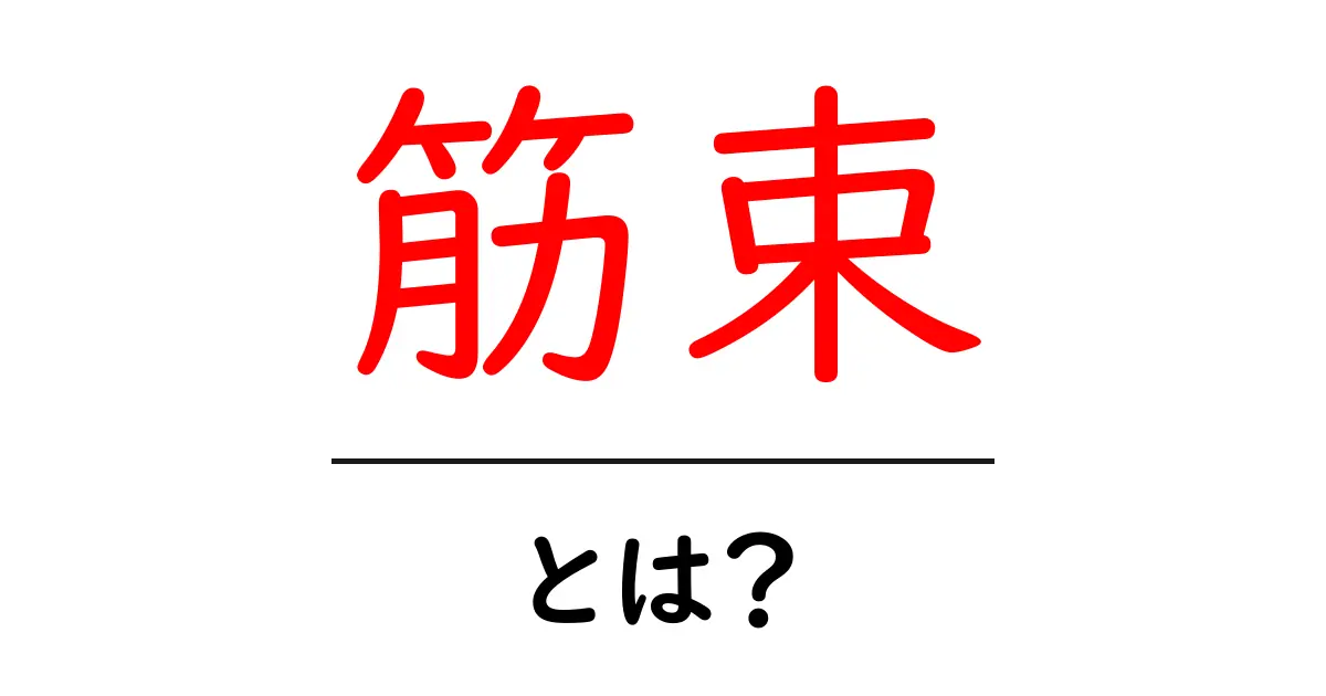 筋束・とは？初心者でもすぐわかる筋束の基礎ガイド共起語・同意語・対義語も併せて解説！