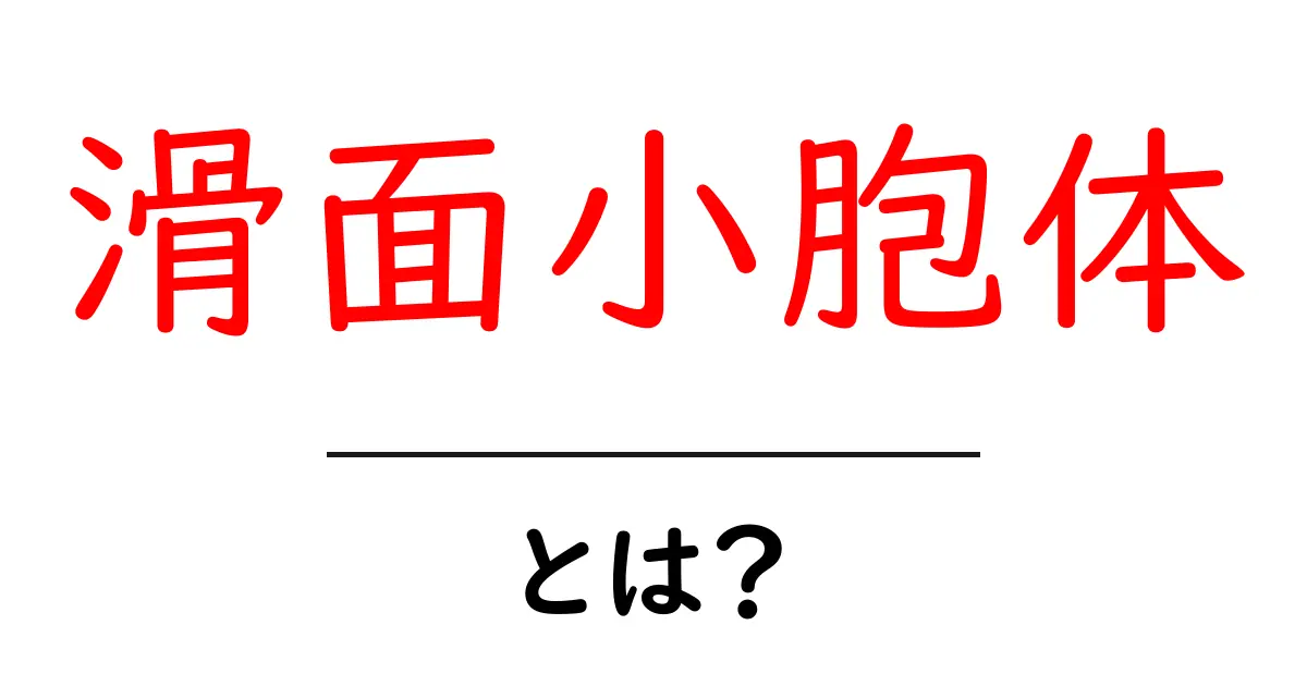 滑面小胞体とは？初心者向けにやさしく解説する基本ガイド共起語・同意語・対義語も併せて解説！