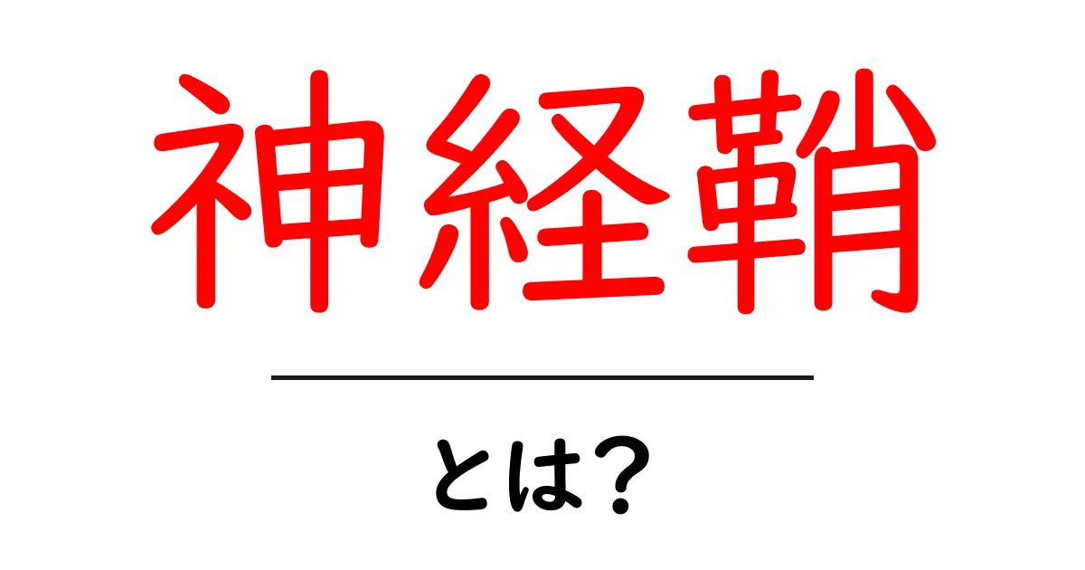 神経鞘とは?初心者にもわかる神経を守る膜のしくみと役割共起語・同意語・対義語も併せて解説!