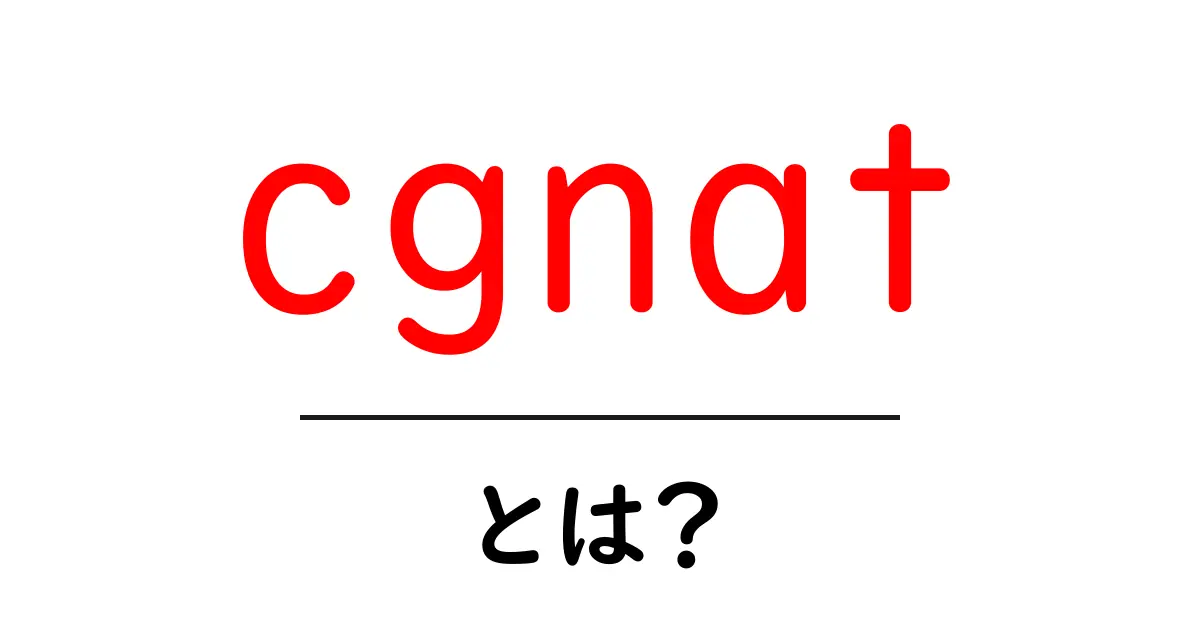 cgnatとは？初心者にも分かるCGNの仕組みと家庭・学校での影響共起語・同意語・対義語も併せて解説！