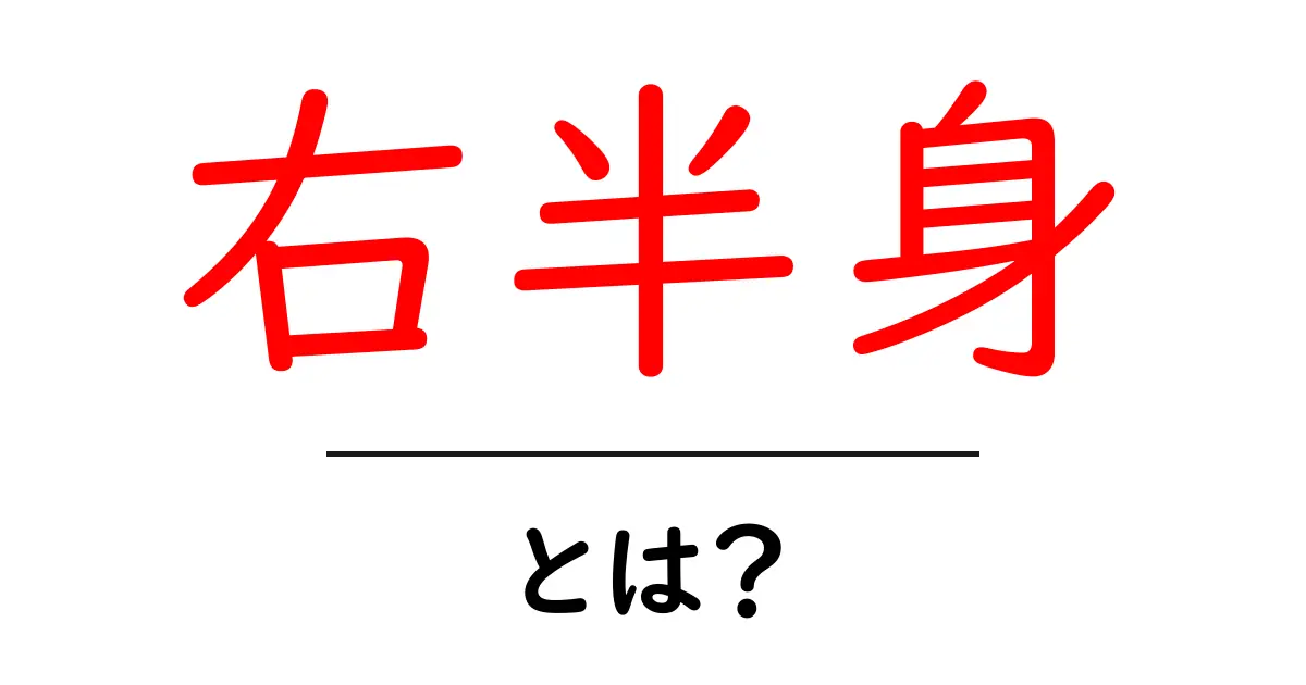 右半身・とは？初心者でもすぐ分かる基本と日常での見分け方共起語・同意語・対義語も併せて解説！