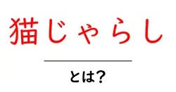 猫じゃらし・とは？猫の遊び方と植物の正体を分かりやすく解説共起語・同意語・対義語も併せて解説！
