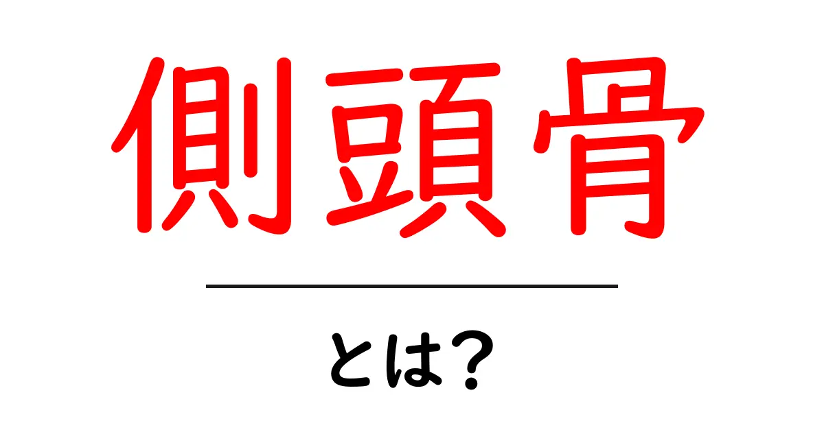 側頭骨とは?人体の耳周りと頭蓋をつなぐ重要な骨の基礎をやさしく解説共起語・同意語・対義語も併せて解説!