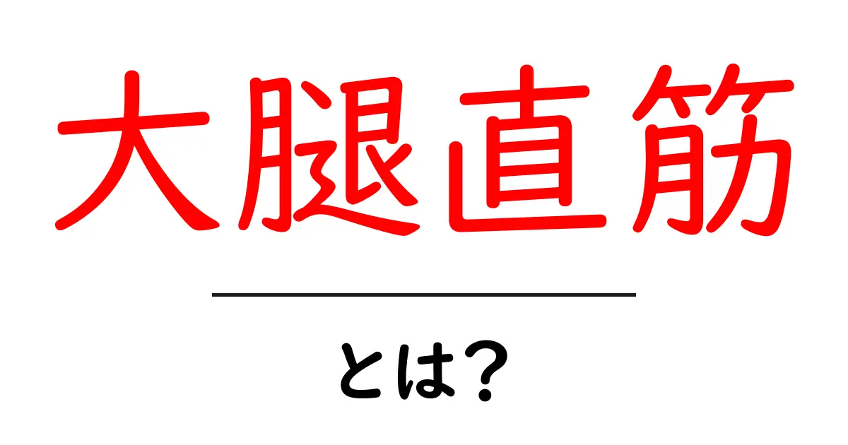大腿直筋とは?初心者でもわかる解説ガイド共起語・同意語・対義語も併せて解説!
