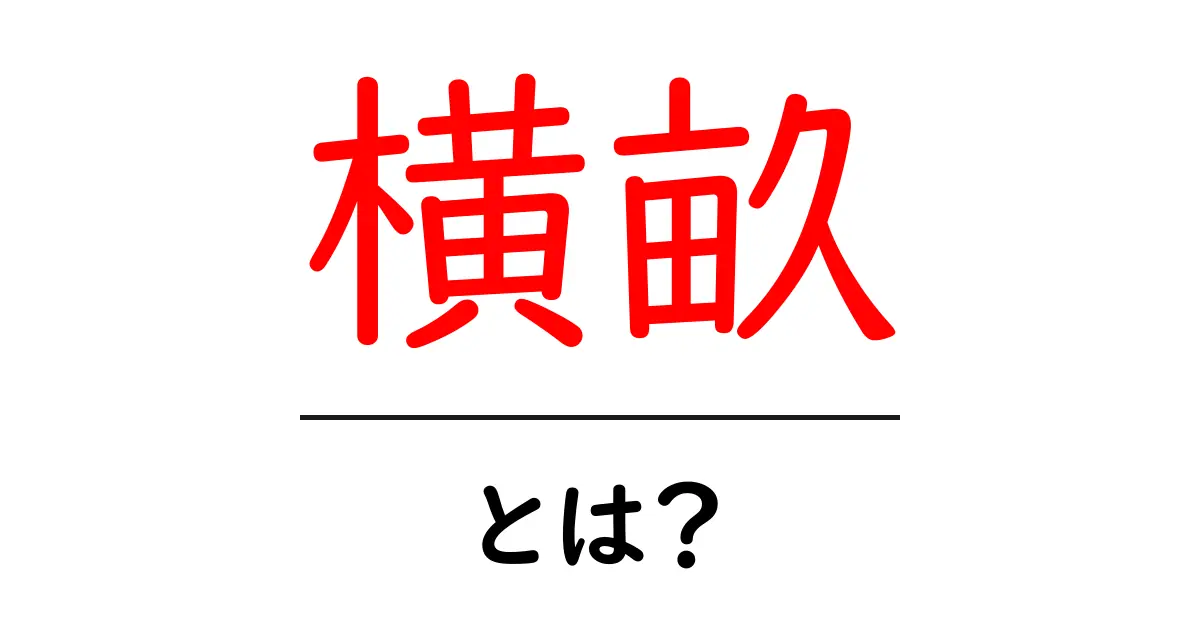 横畝・とは?初心者にやさしい解説と使い方ガイド共起語・同意語・対義語も併せて解説!