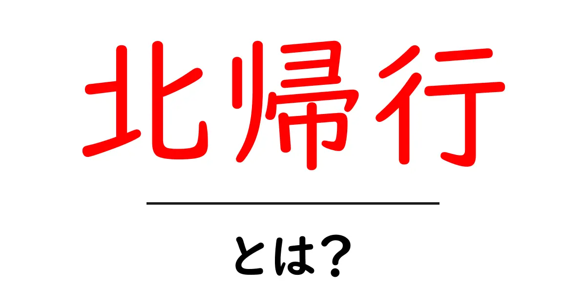 北帰行とは？初心者向け解説と使い方ガイド共起語・同意語・対義語も併せて解説！