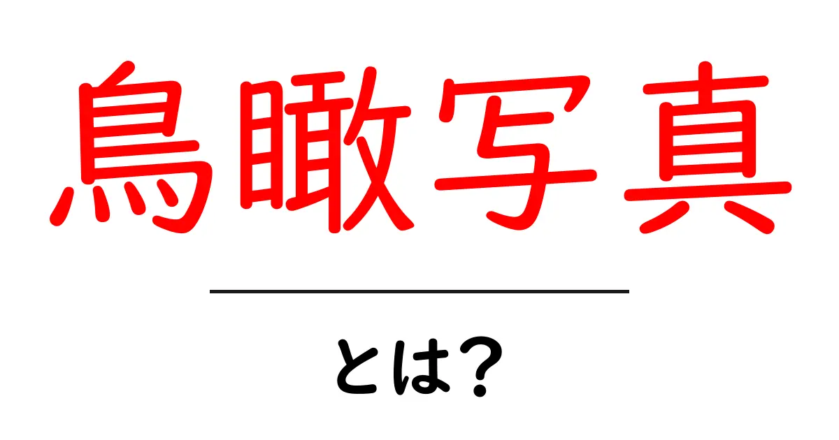 鳥瞰写真とは？初心者でも分かる撮影の基本と活用術共起語・同意語・対義語も併せて解説！