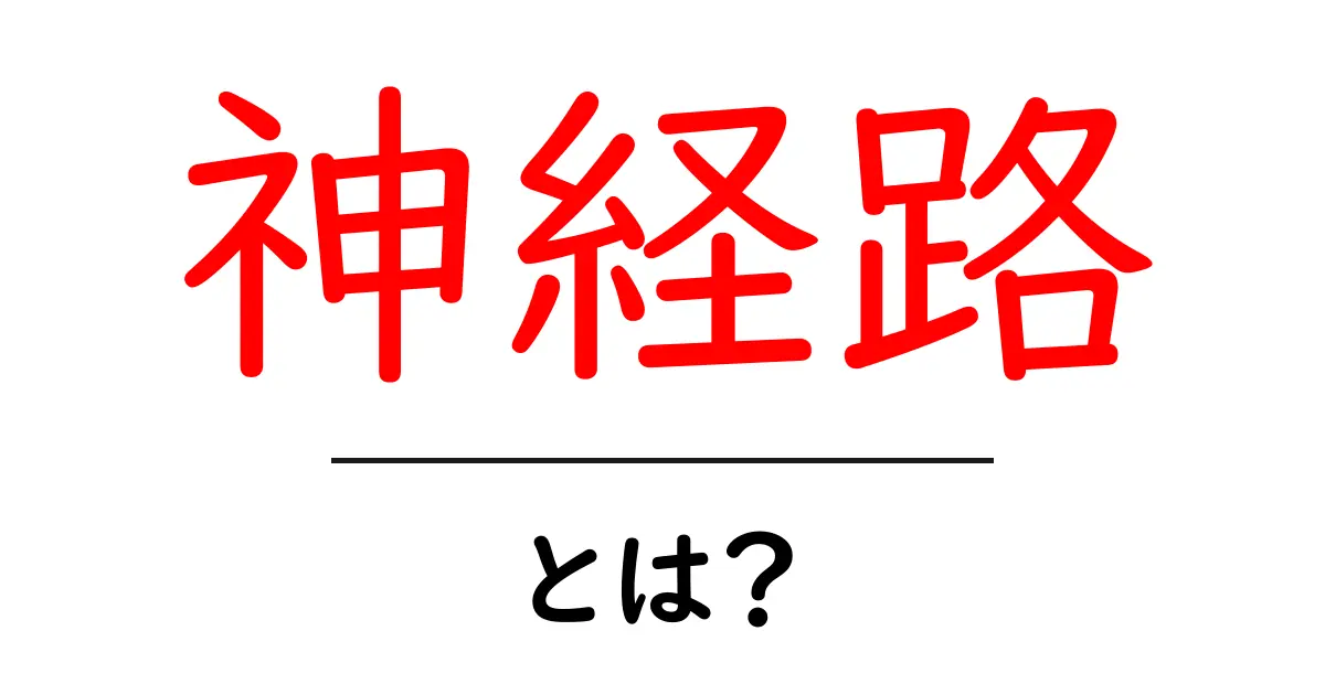 神経路とは?初心者向けにやさしく解説する基本ガイド共起語・同意語・対義語も併せて解説!