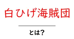 白ひげ海賊団・とは？初心者のための徹底解説と魅力紹介共起語・同意語・対義語も併せて解説！