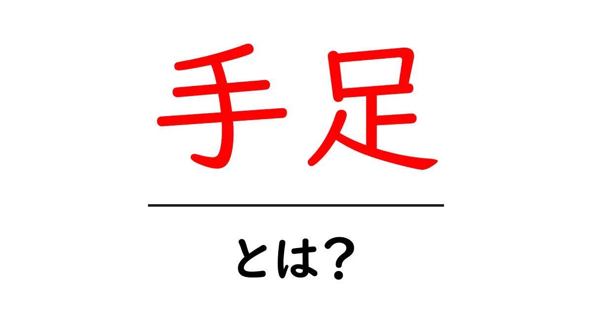 手足とは?初心者向け解説で学ぶ体の基本と役割共起語・同意語・対義語も併せて解説!