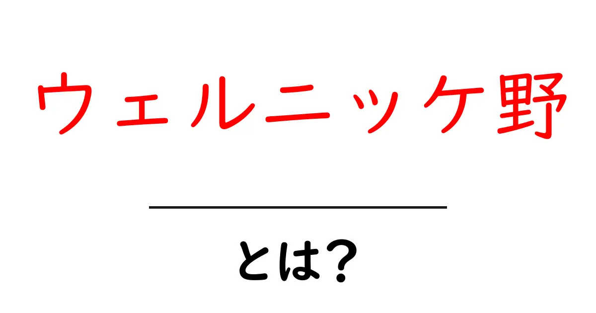 ウェルニッケ野とは？脳の言語理解を支える“聴き取りエリア”を優しく解説共起語・同意語・対義語も併せて解説！