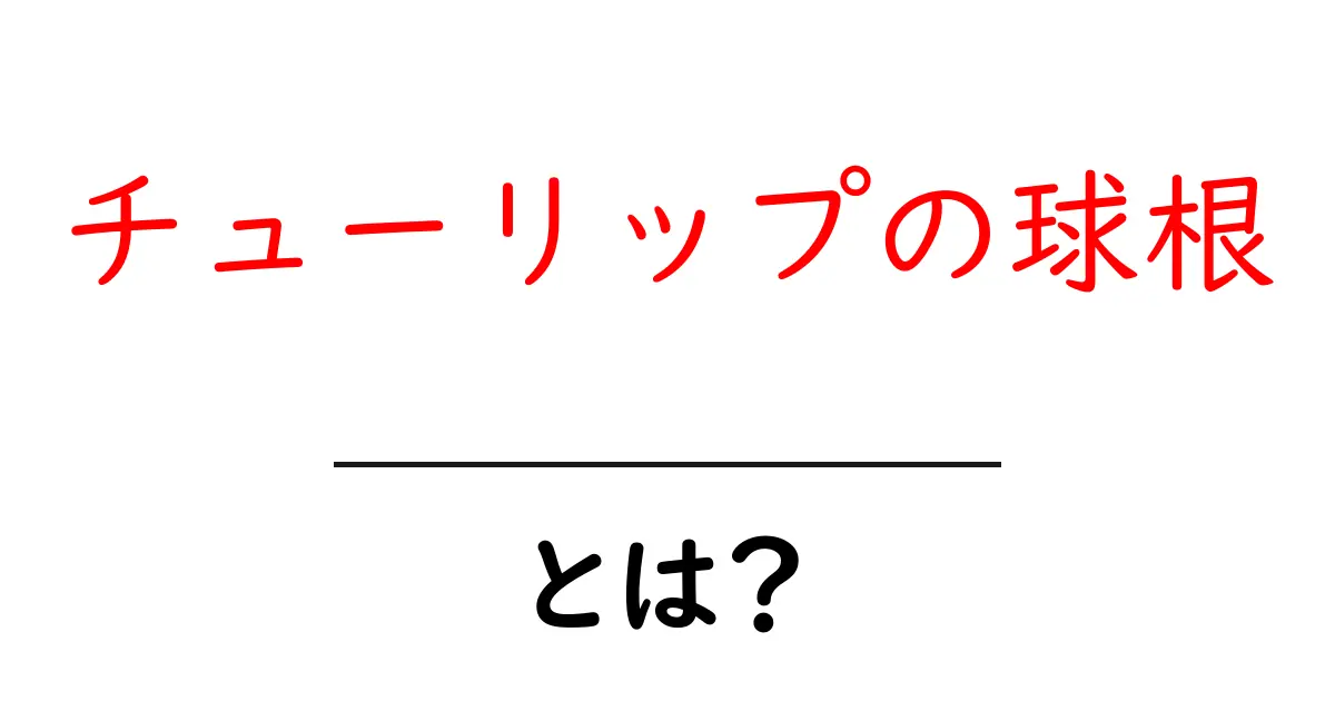 チューリップの球根とは？初心者でも分かる育て方と選び方のコツ共起語・同意語・対義語も併せて解説！