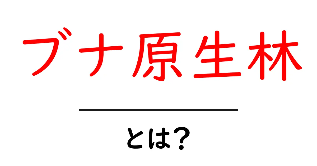 ブナ原生林・とは？初心者にも分かる基本解説と魅力を徹底紹介共起語・同意語・対義語も併せて解説！