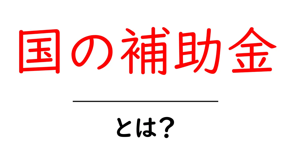 国の補助金とは？初心者にもわかる基本ガイドと最新情報共起語・同意語・対義語も併せて解説！