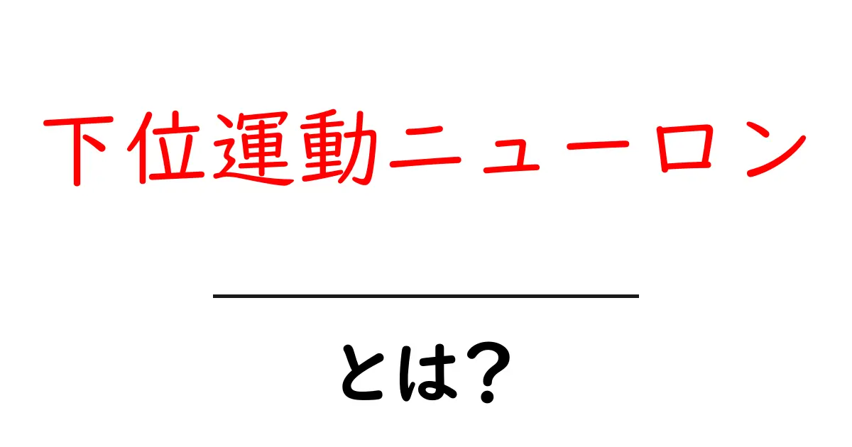 下位運動ニューロン・とは？を徹底解説：筋肉を動かす神経の基本共起語・同意語・対義語も併せて解説！