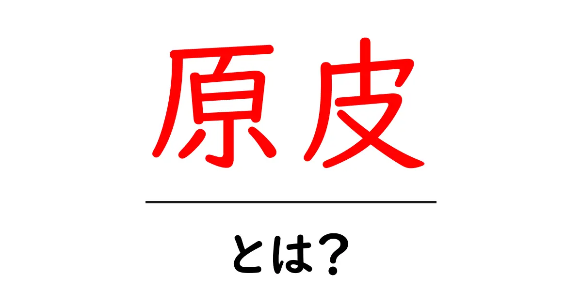 原皮・とは？初心者でもわかる基礎解説と現場での活用例共起語・同意語・対義語も併せて解説！