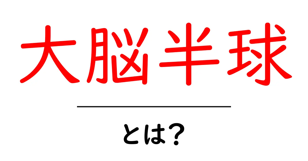 大脳半球・とは？をやさしく解説します：左と右の役割と私たちの暮らしとのつながり共起語・同意語・対義語も併せて解説！