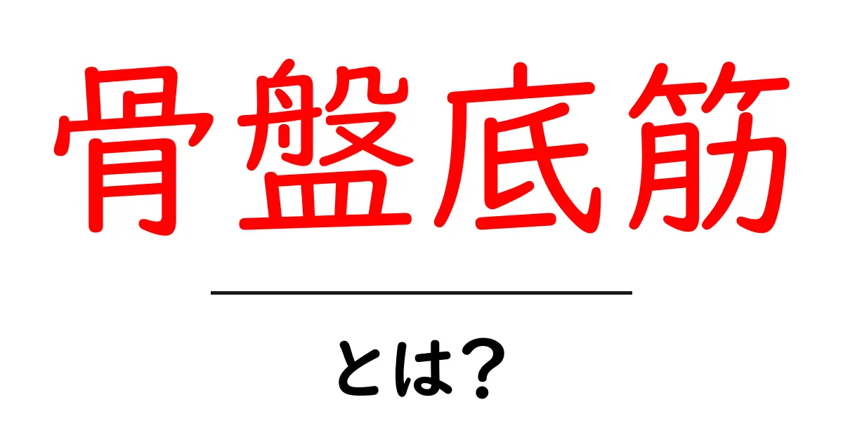 骨盤底筋・とは?初心者でも分かるやさしい解説と鍛え方の基本共起語・同意語・対義語も併せて解説!