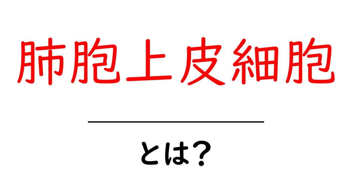 肺胞上皮細胞・とは?初心者にもわかるやさしい解説共起語・同意語・対義語も併せて解説!
