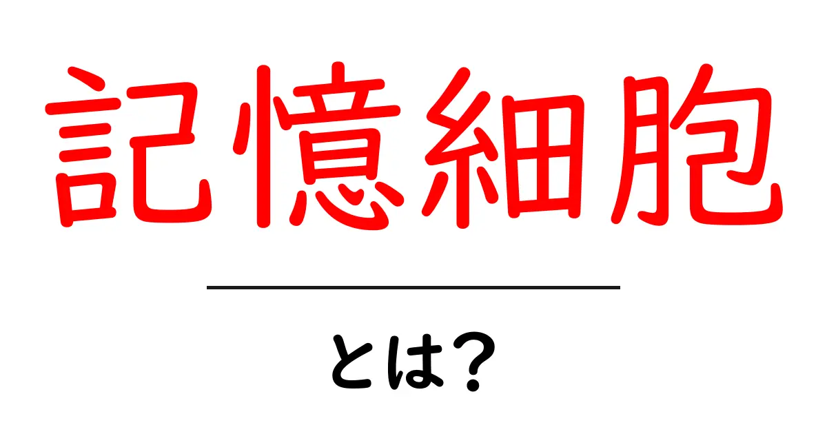 記憶細胞・とは？免疫の仕組みをやさしく解説共起語・同意語・対義語も併せて解説！