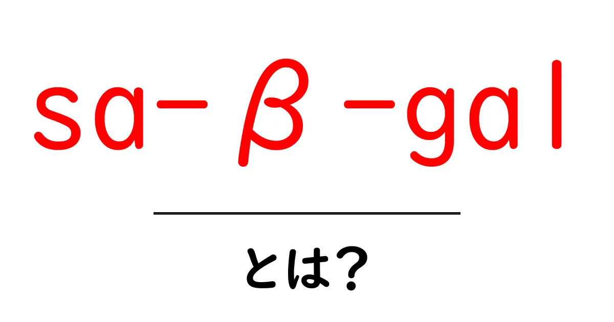 sa-β-galとは?初心者にもわかる解説共起語・同意語・対義語も併せて解説!