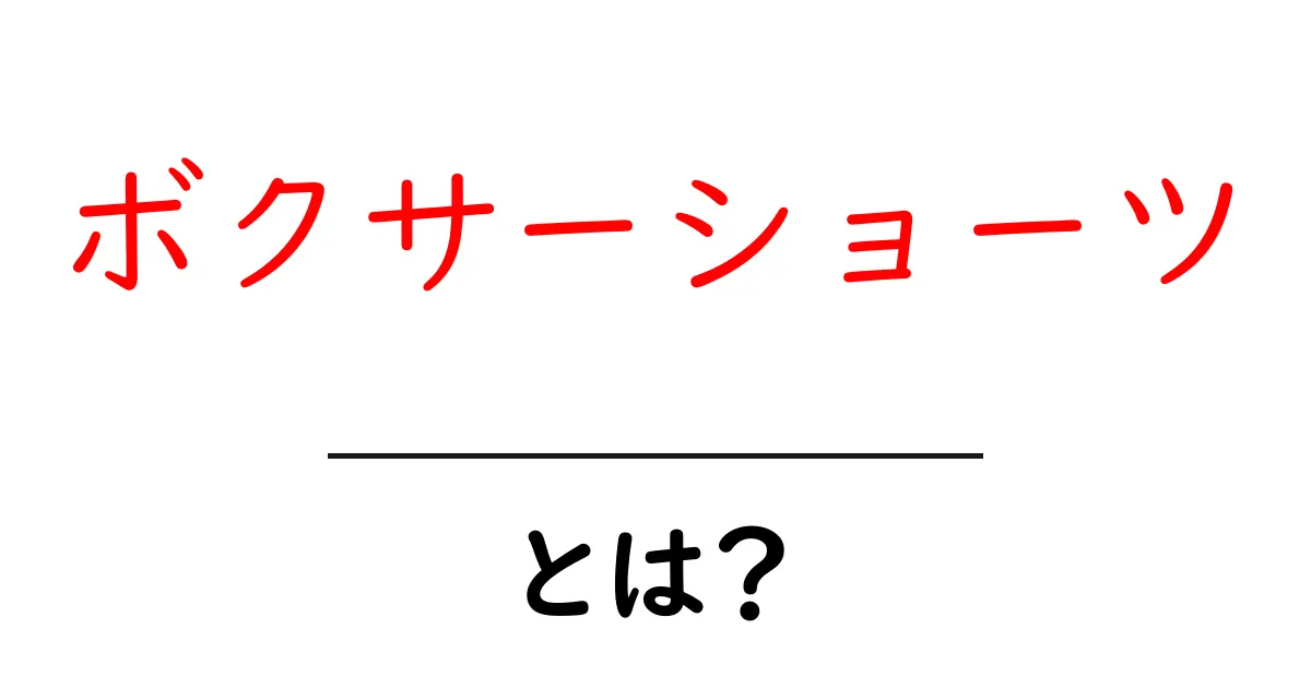ボクサーショーツ・とは?初心者でも分かる基本の特徴と選び方共起語・同意語・対義語も併せて解説!