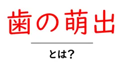 歯の萌出・とは？初心者にも分かる歯が生えるタイミングと基本対策共起語・同意語・対義語も併せて解説！